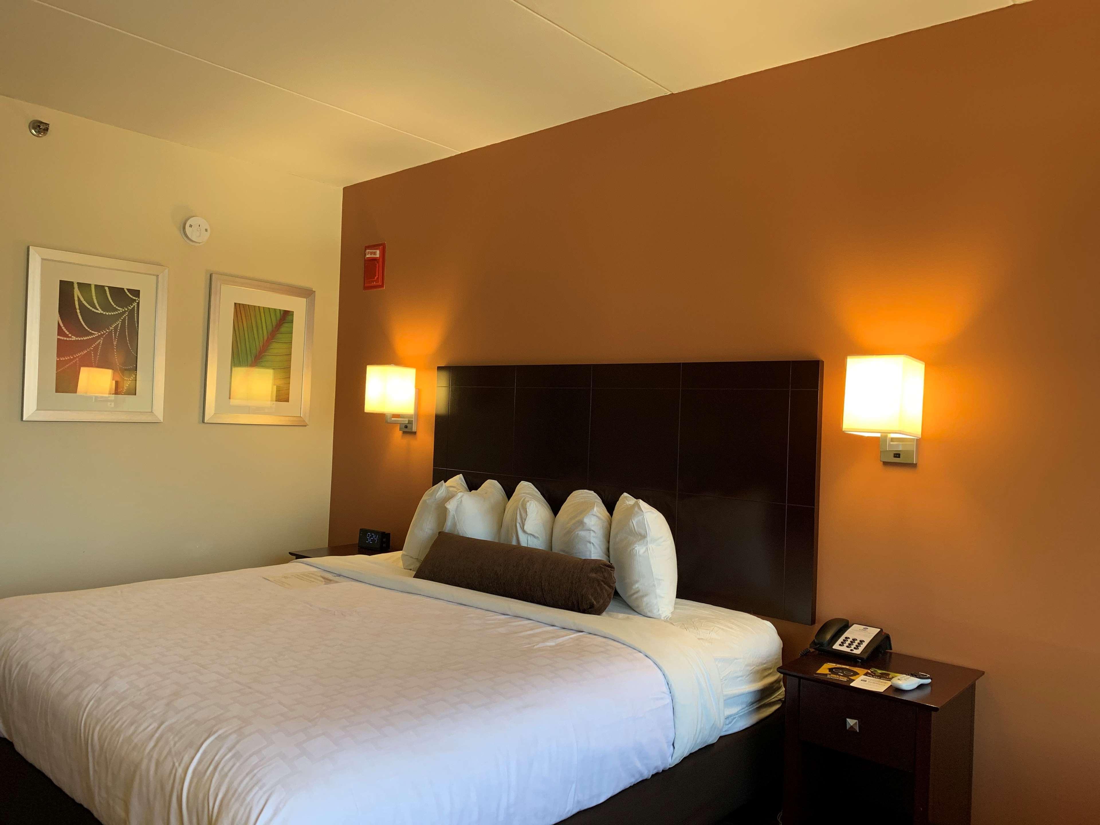 Best Western Executive Hotel New Haven-West Haven Extérieur photo